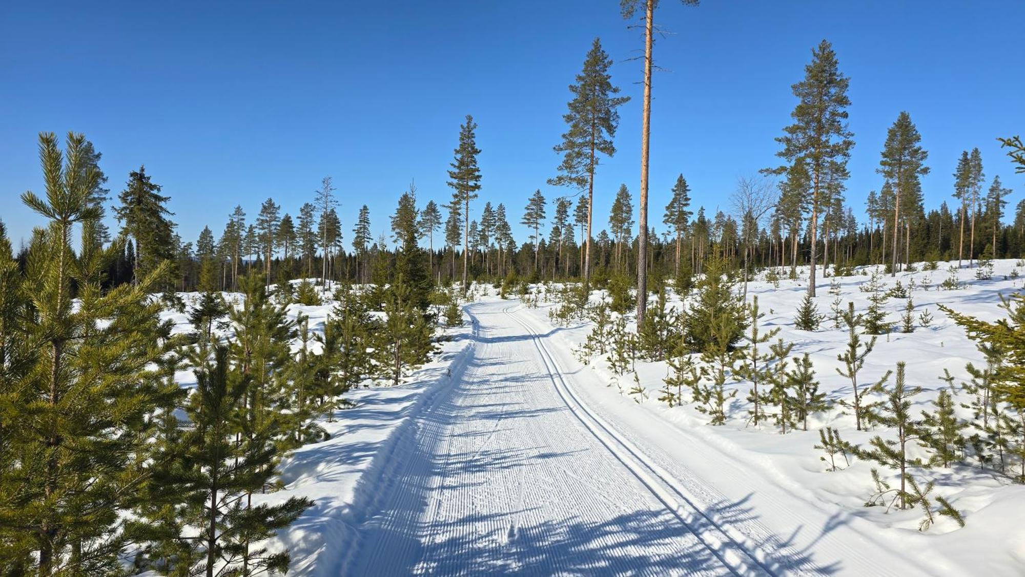 فندق Fulufjellet Ljørdal المظهر الخارجي الصورة