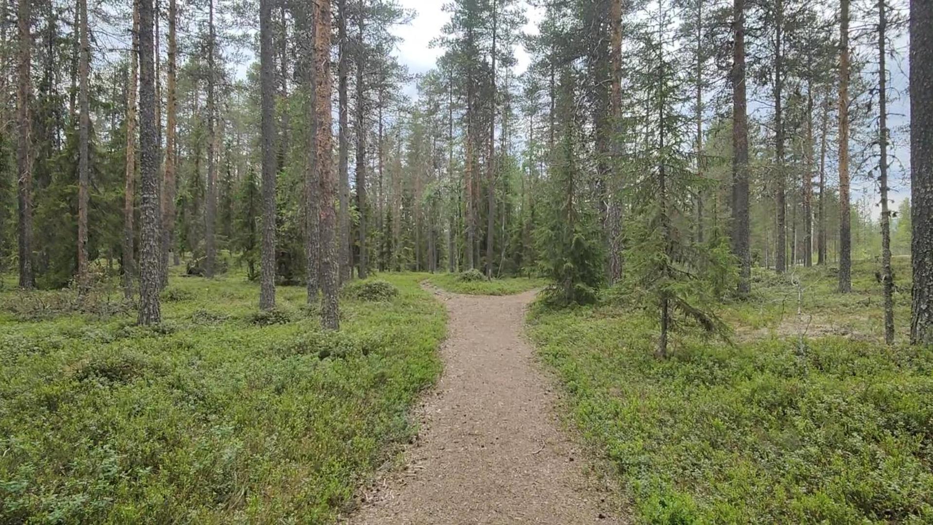 فندق Fulufjellet Ljørdal المظهر الخارجي الصورة