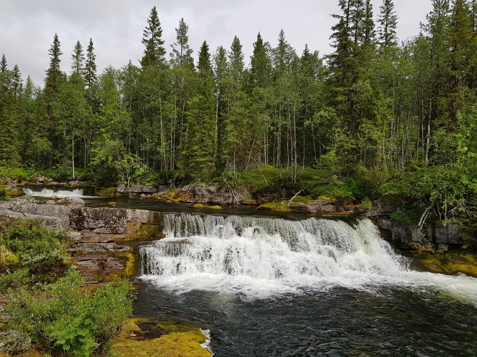 فندق Fulufjellet Ljørdal المظهر الخارجي الصورة